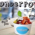 Wonderpots Frozen Yogurt Crowdfunding